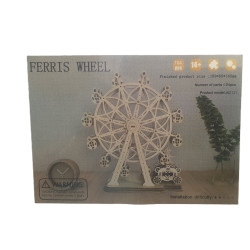 Ferris Wheel puzzle