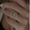 Regulated ring 1