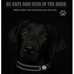 Dog collar