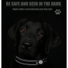 Dog collar