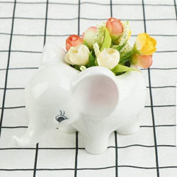 Set of 2 Elephant Flower Pots