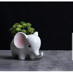 Set of 2 Elephant Flower Pots