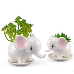 Set of 2 Elephant Flower Pots