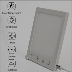 LED Light Therapy Lamp