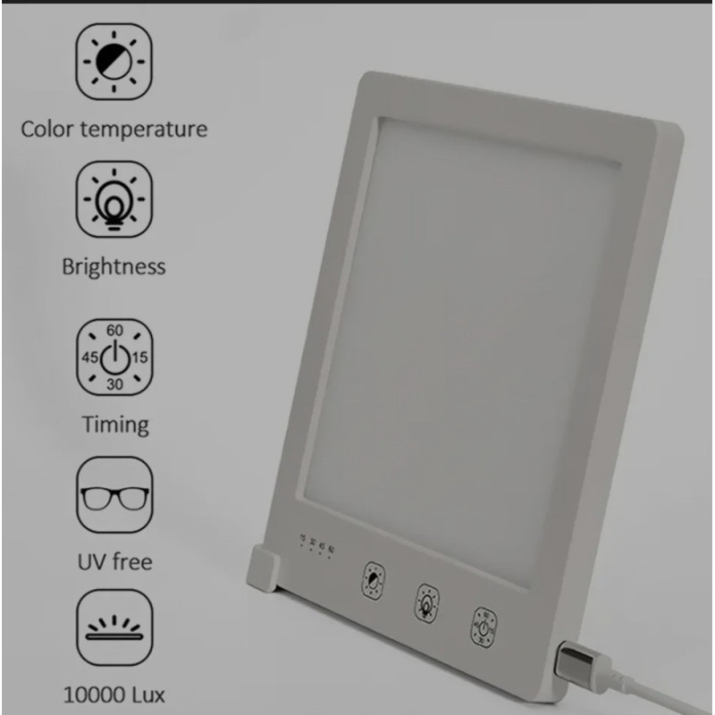 LED Light Therapy Lamp