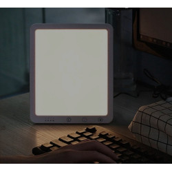 LED Light Therapy Lamp