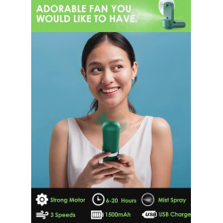 Handheld Misting Fan