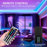 LED STRIP LIGHTS  5 ,10 m